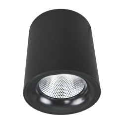 Потолочный светильник Arte Lamp Facile A5130PL-1BK