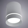 Потолочный светильник Arte Lamp A1909PL-1GY
