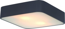 Накладной светильник ARTE Lamp A7210PL-2BK