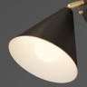 Потолочный светильник RIGEL CH Black