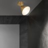 Потолочный светильник RIGEL CH Black