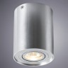Потолочный светильник Arte Lamp Falcon A5644PL-1SI
