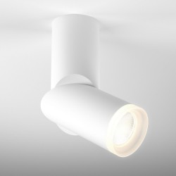 Накладной светильник Elektrostandard DLR036 12W 4200K белый матовый