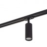 Светильник на шине Denkirs DK6202-BK
