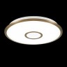 Потолочный светодиодный светильник Citilux Старлайт Смарт CL703A63G