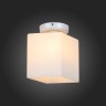 Настенно-потолочный светильник ST Luce Aspetto SL548.501.01