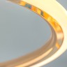 Потолочная люстра AMELIS CH D40