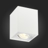 Потолочный светильник ST Luce ST109.507.01