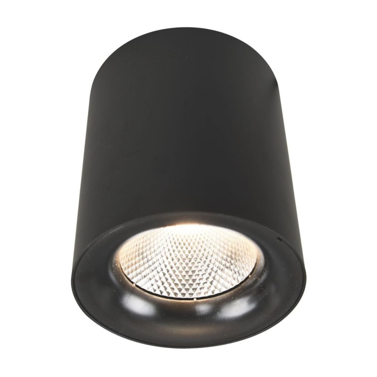 Потолочный светильник Arte Lamp Facile A5118PL-1BK