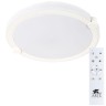 Потолочный светодиодный светильник Arte Lamp Biscotti A2679PL-72WH