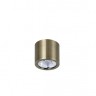 Потолочный светодиодный светильник Favourite Deorsum 2806-1C