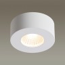 Потолочный светодиодный светильник Odeon Light Bene 4282/7CL