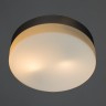Настенно-потолочный светильник Arte Lamp Aqua A3211PL-2SI
