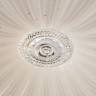 Потолочный светодиодный светильник Arte Lamp Biscotti A2675PL-72WH