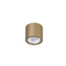 Потолочный светодиодный светильник Favourite Deorsum 2807-1C