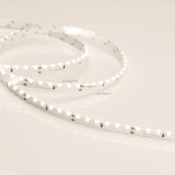 Лента Arlight 024460