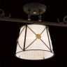 Потолочный светильник Citilux Дрезден CL409232