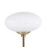Настольная лампа декоративная Favourite Pernetti 2513-2T