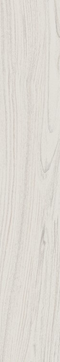 Монтиони Керамогранит белый матовый обрезной SG526820R 20х119,5