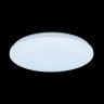 Потолочный светильник Citilux Симпла CL714R48N
