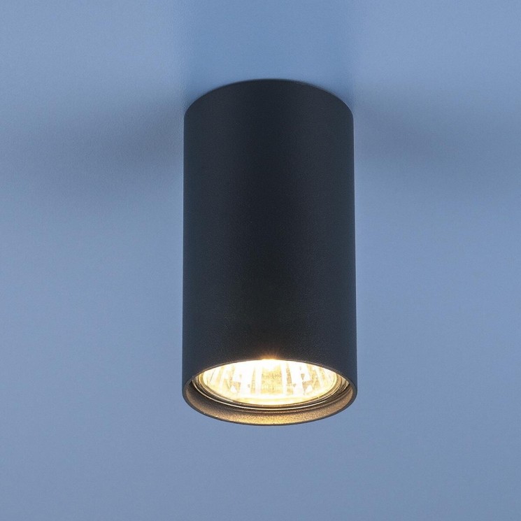 Потолочный светильник Elektrostandard 1081 (5256) GU10 GR графит