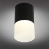 Потолочный светодиодный светильник Omnilux Ercolano OML-100019-05