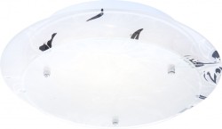 Накладной светильник Globo 48077