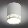 Потолочный светодиодный светильник Omnilux Fortezza OML-100109-12
