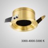 Точечный светильник BIO Brass Black 3W