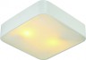 Потолочный светильник Arte Lamp Cosmopolitan A7210PL-2WH
