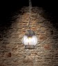 Подвесной светильник, Уличный светильник Favourite Faro 1498-1P