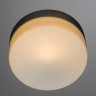 Настенно-потолочный светильник Arte Lamp Aqua A3211PL-1SI