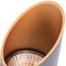 Потолочный светильник Arte Lamp Pilon-Gold A1535PL-1BK