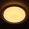 Потолочный светодиодный светильник De Markt Ривз 674011901