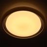 Потолочный светодиодный светильник De Markt Ривз 674011901
