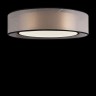 Потолочный светодиодный светильник Freya Zoticus FR6005CL-L36G