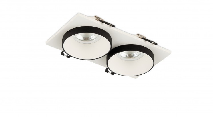 Встраиваемый светильник SYNEIL 2069-2DLWB