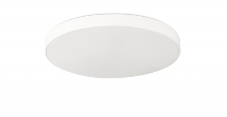 Накладной светильник SYNEIL 1204-LED28CL