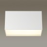 Потолочный светодиодный светильник Odeon Light Roxy 4232/20CL