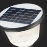 Светильник на солнечных батареях ST Luce Solaris SL9502.405.01