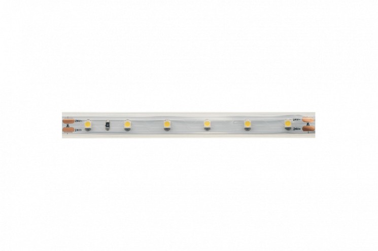 Лента DesignLed DSG360-24-W-65
