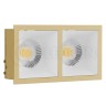 Встраиваемый светильник LeDron RISE KIT 2 Gold/White