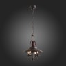 Подвесная люстра ST Luce Rarita  SL269.403.04
