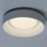 Потолочный светильник De Markt Ривз 674016601