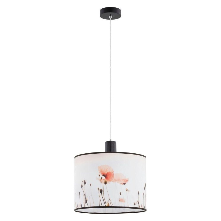 Подвесной светильник Alfa Maczek 9610