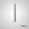 Точечный светильник PAN H20 Black 4000 К