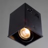 Накладной светильник Arte Lamp Cardani A5942PL-1BK