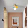 Потолочная люстра MATISSE C D47