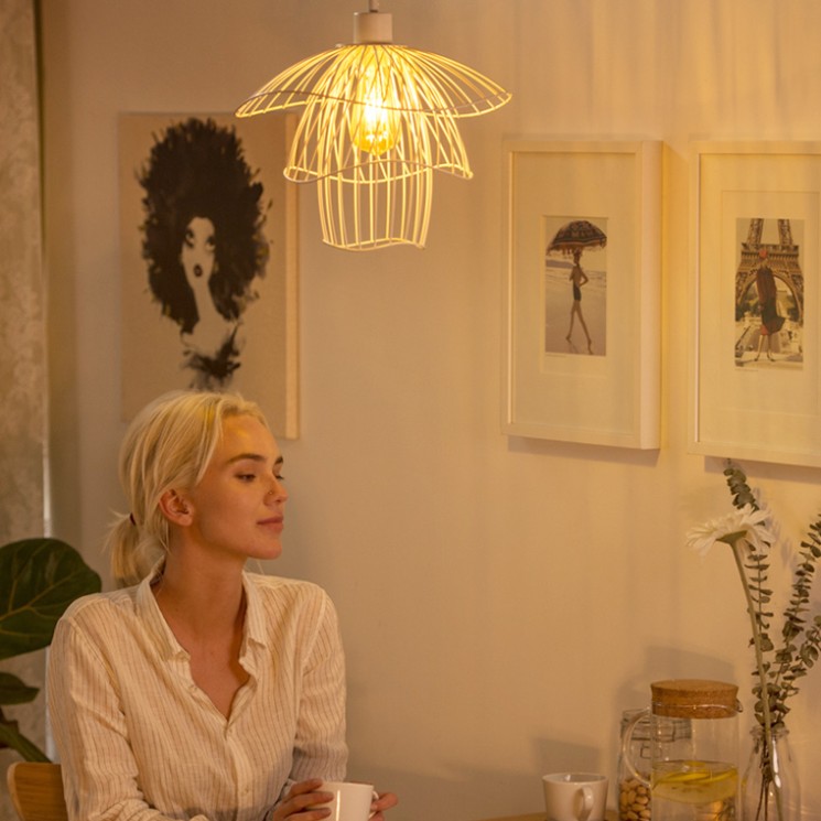 Подвесной светильник Papillon Forestier