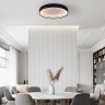 Потолочный светильник RODA CH D40 Acrylic